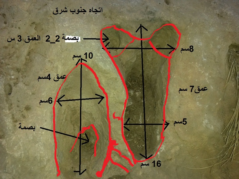 تحليل اشارة قلب 14 20171013