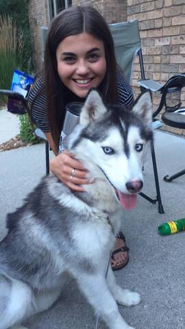 My siberian husky is small hotsell