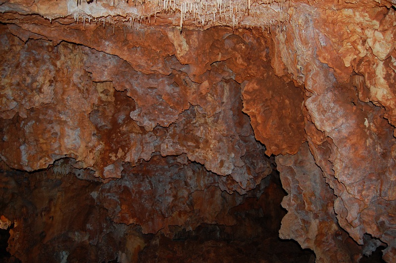 la grotte de la forestiere Dsc_2015