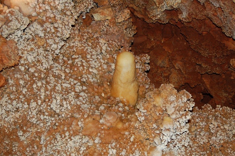 la grotte de la forestiere Dsc_2042