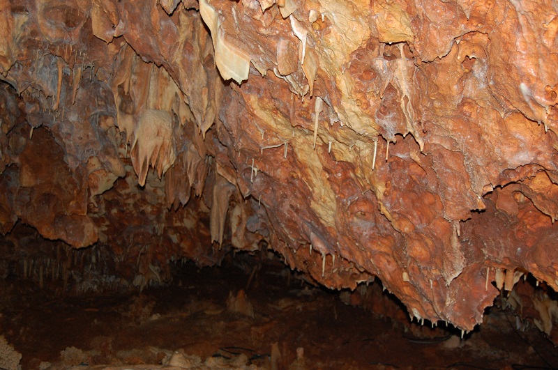 la grotte de la forestiere Dsc_2066