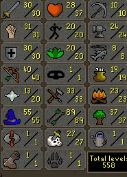 Zuened's road to a total level of 2277 002_os12