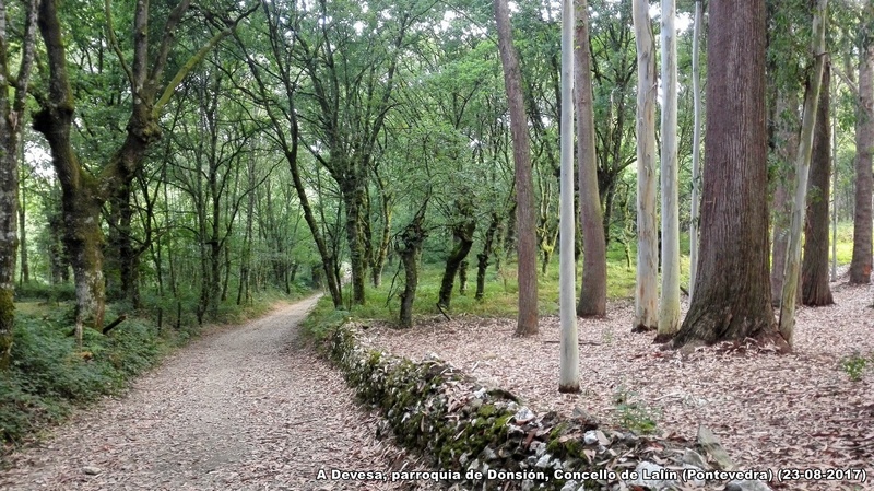 Resumen Camino de Fonseca (Salamanca a Santiago por Puebla de Sanabria) 2017 257_a_10