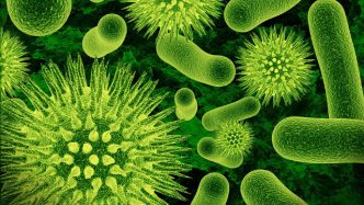 Complot santé? Les virus et bactéries en question Santy10