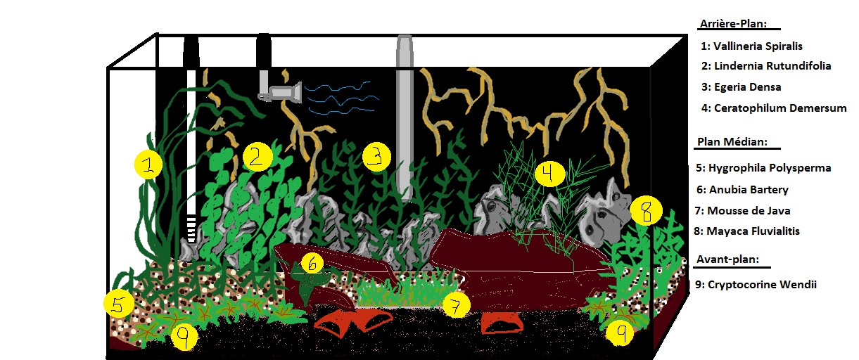 pour - Reconfiguer bac pour les poissons? Plan_d14