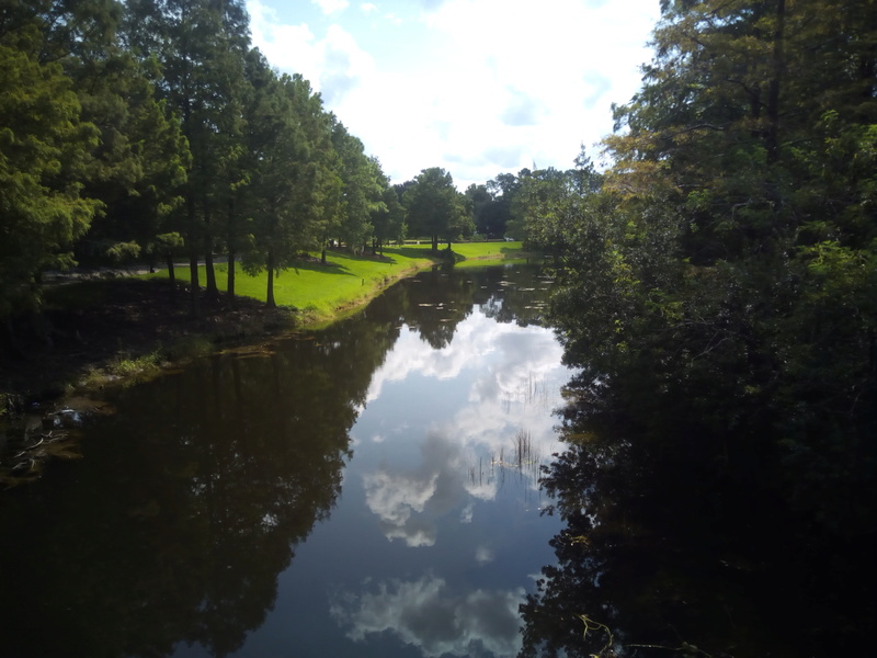 Disney's Port Orleans Riverside - Página 2 Img_2016