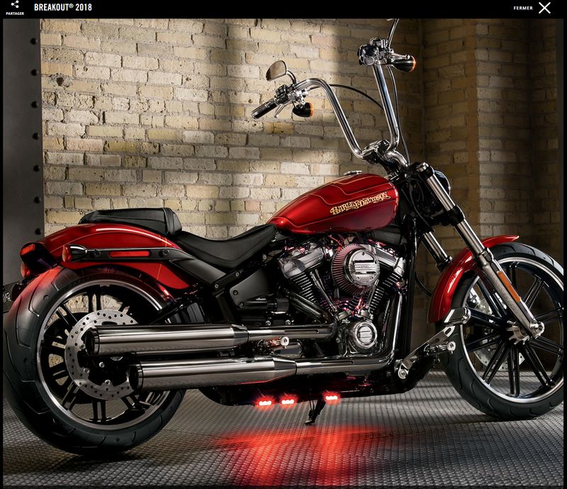 2018 nouveau cadre Softail et Dyna - Page 2 Breako10