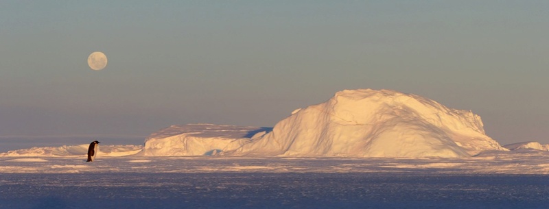 Antarctique P1290310