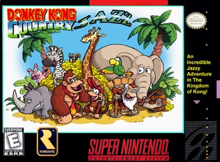 Donkey Kong Country Donkey13