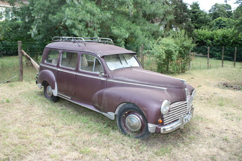 Kristof38 203_fa11