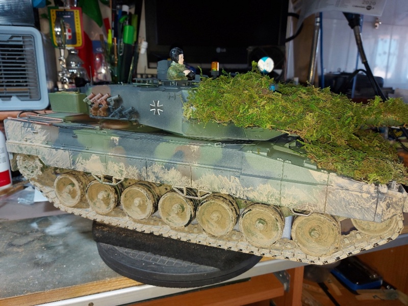 Il Leopard 2A6 con prato inglese di stefanoan 20200911