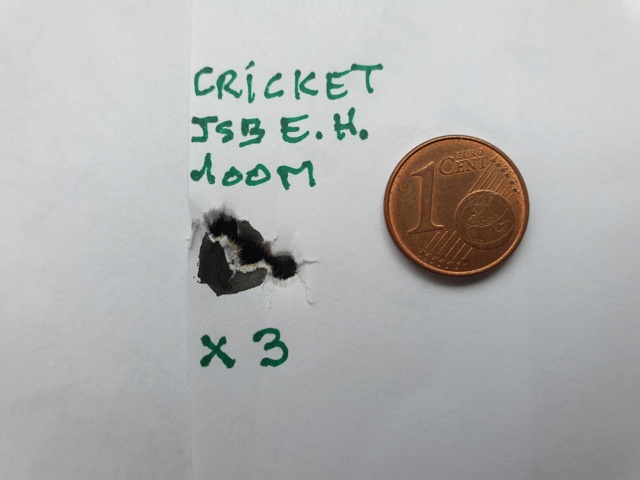 La Cricket à 100m  275