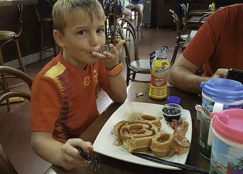 TOY STORY LAND (DHS), TYPHOON LAGOON Y CENA EN T-REX. - 23 días por Miami y Orlando. (2)