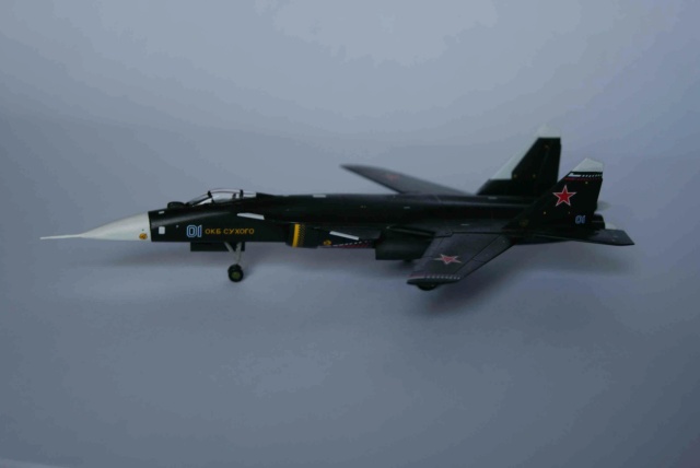 [Revell] Sukhoi Su-37 BERKUT 1/144 Dsc02416
