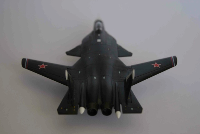 [Revell] Sukhoi Su-37 BERKUT 1/144 Dsc02419