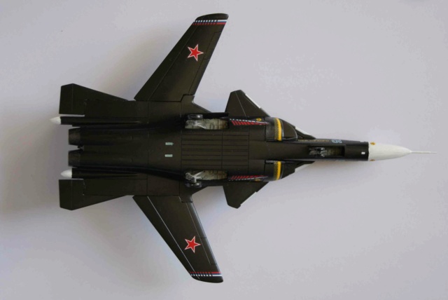 [Revell] Sukhoi Su-37 BERKUT 1/144 Dsc02421