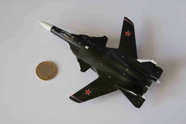[Revell] Sukhoi Su-37 BERKUT 1/144 Dsc02422