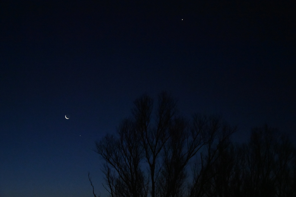 Ciel du matin avec Vénus et Jupiter Dsc_1310