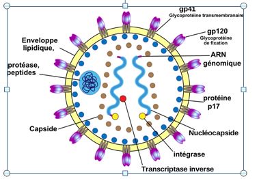 LesPierresCrieront - Vaccin Covid , et si on en parlait ici .... - Page 22 Captur26