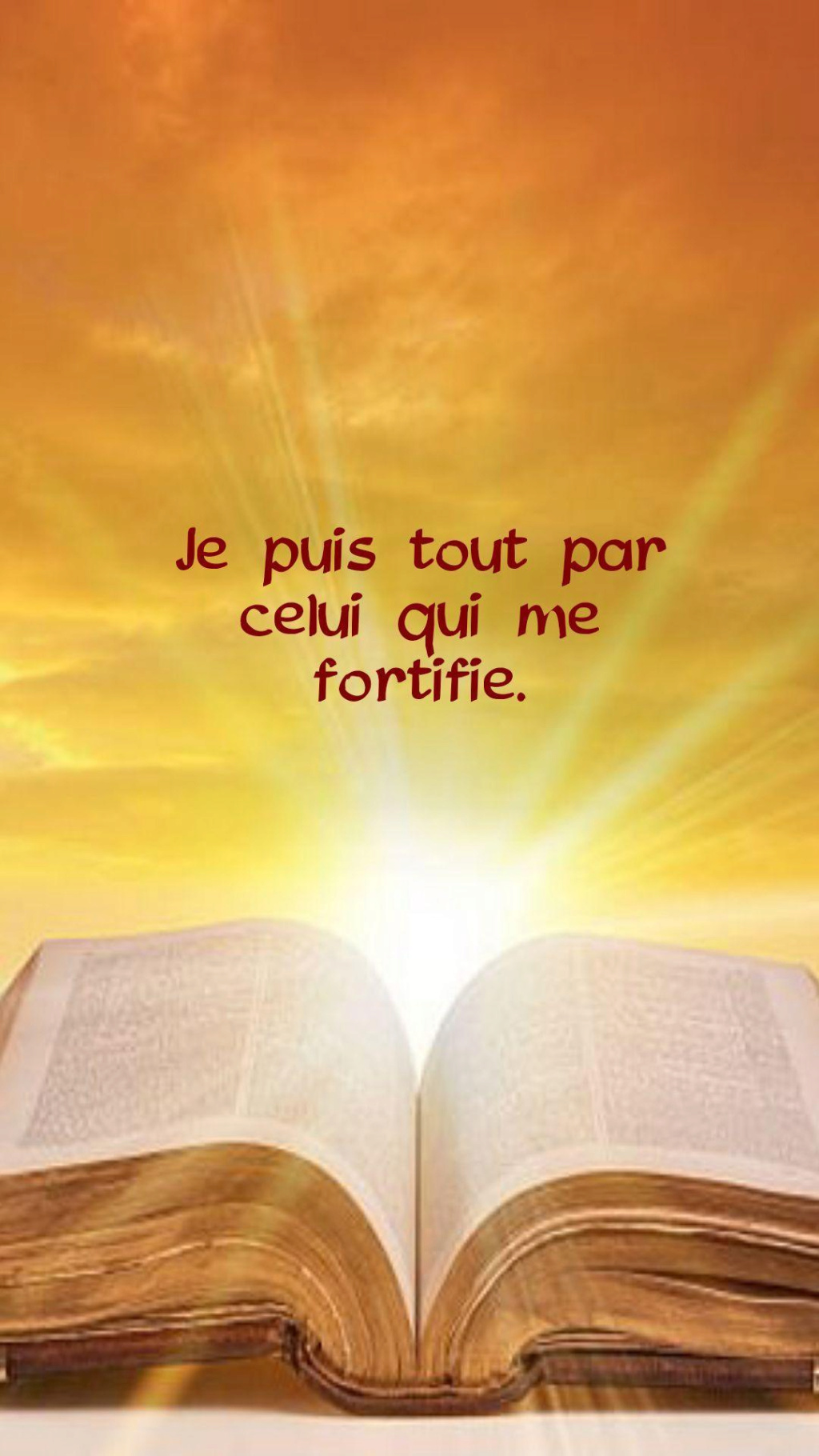 Citations bibliques (illustrées) - Page 3 Screen12