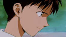 Búsqueda de rol Shinji17