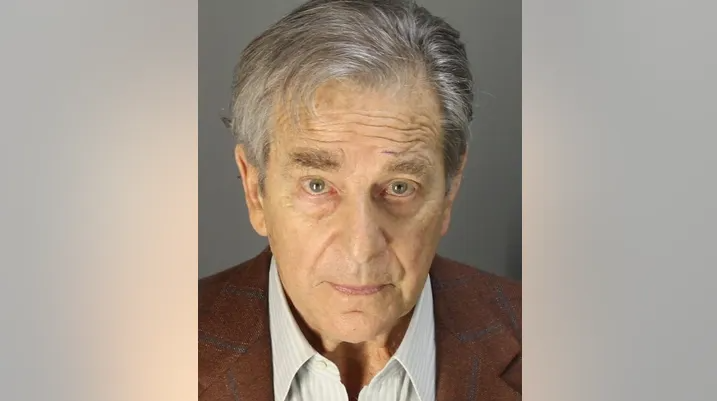 House Speaker Nancy Pelosi's husband Paul Pelosi allegedly slurred speech, had drug in system and handed over police privilege card during DUI bust 5a735410