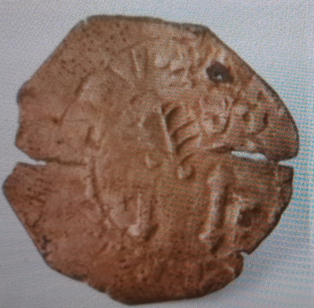 Las primeras monedas canarias, marcadas con un Teide y una hoja de palma 20210912