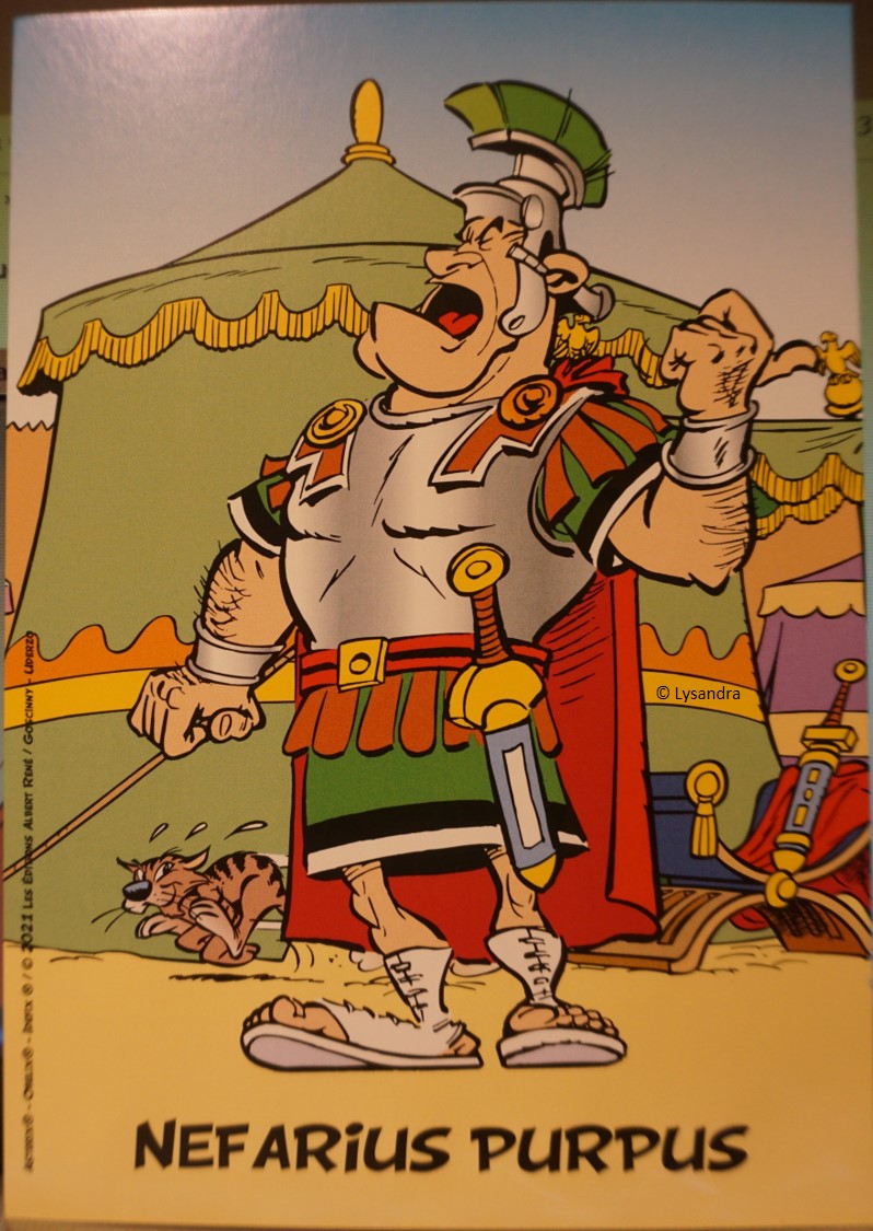 Asterix & obelix baffez les tous - édition ultra collector 2021_c15