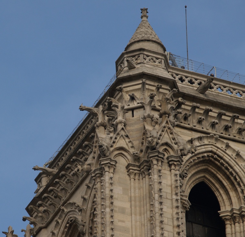 quai: du louvre,de la messigerie, des orfèvres et notre dame P1010032