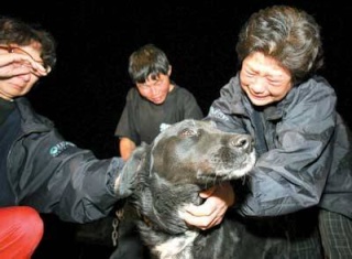 HEARTBREAKING : Chiens en Chine B_bmp_12