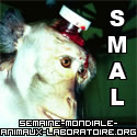 La libération des " Animaux de Laboratoir " Smal-l10