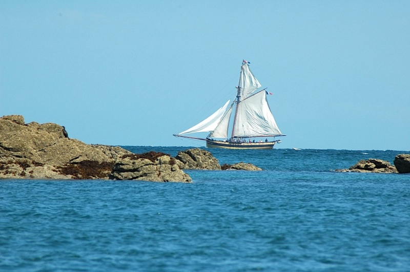 Bateaux...tout simplement Surcou10