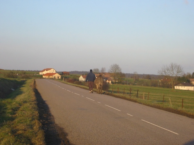 PROMENADE DU MERCREDI 149-4911