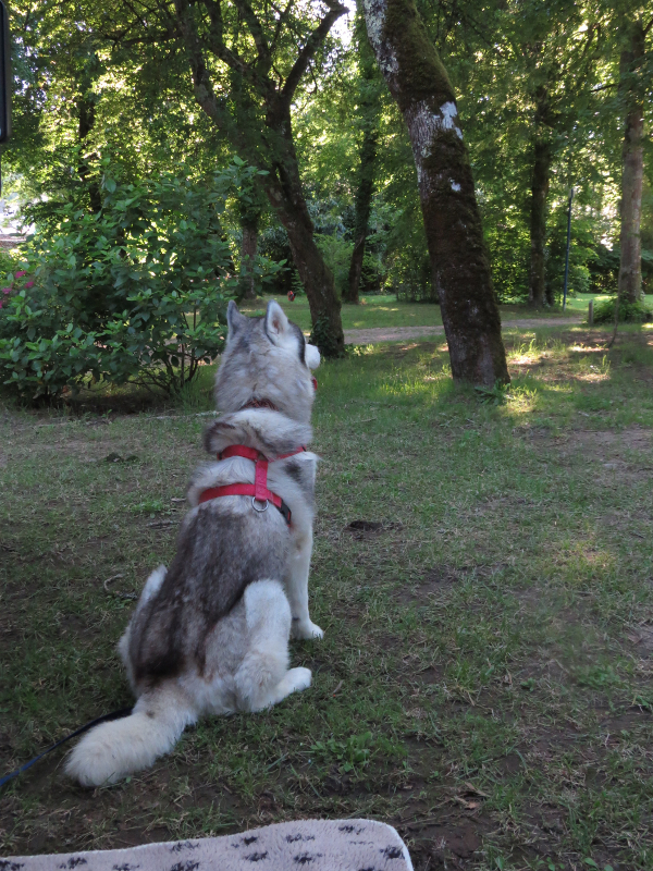 Falco et Fiona dans le Sud-Ouest 02_fal14