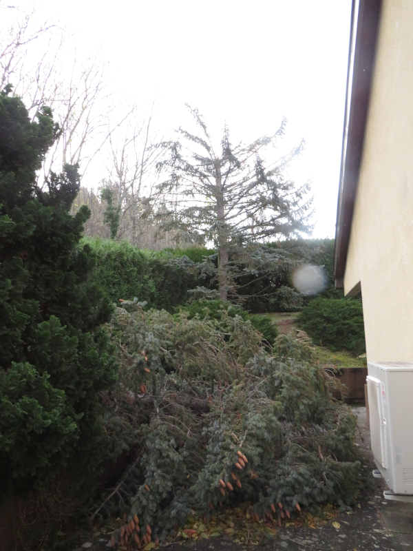 La tempête sévit en Auvergne 03_tem10