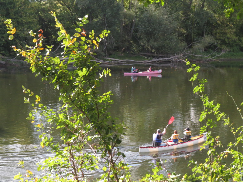 Les vacances de Yocco dans le Sud Ouest 27_can10