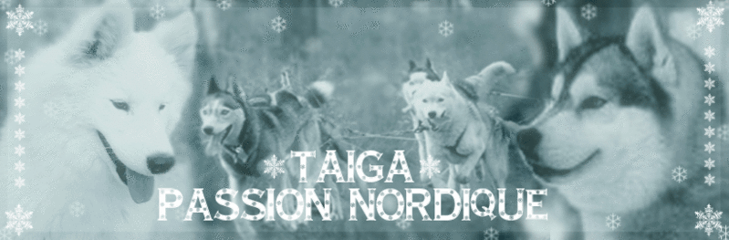 >> Taiga Passion Nordique << Taiga_10