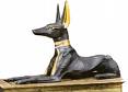 Autres races de chiens. Anubis13