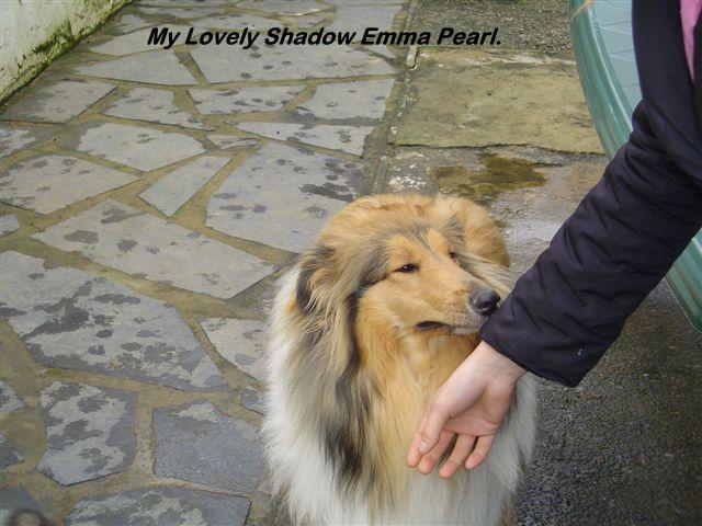 My Lovely Shadow Emma Emma10