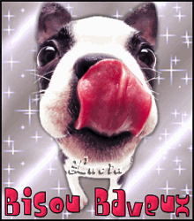 Joyeux Anniversaire Bernard Joyeux Anniversaire Bernard