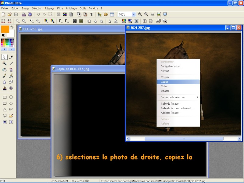 Fondu d'image (ou blend)  la Cheval jtd Tuto_217