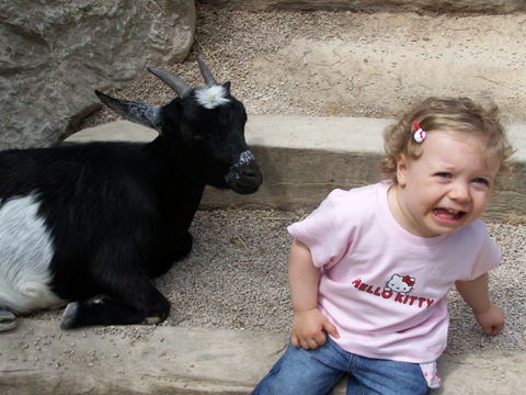 Enfants, grossesse, bibous et photos - Page 9 Zoo_0512