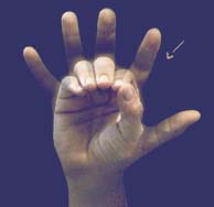 Le language des signes! - Page 2 Lsq_5010