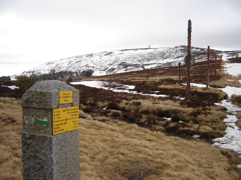 Crêt de la Perdrix, 1432m Dsc03215