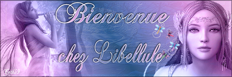 Chez Libellule