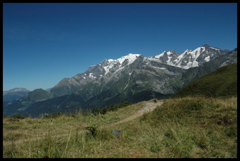 Au pied du Mont Blanc Pr022110