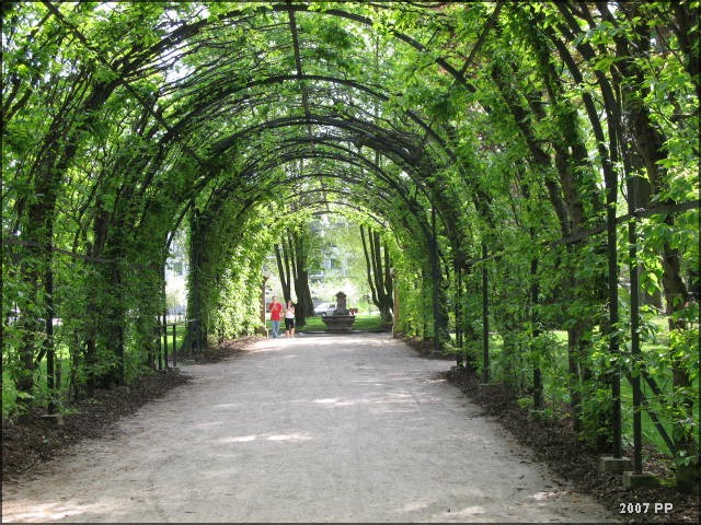 Le parc de l'Orangerie Img_0416