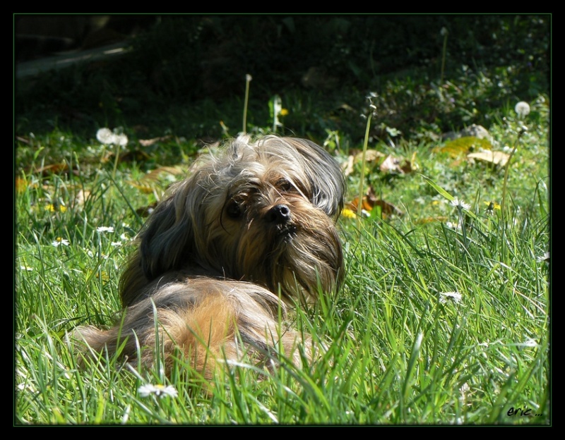 mes 2 bestioles !!!! P1010719