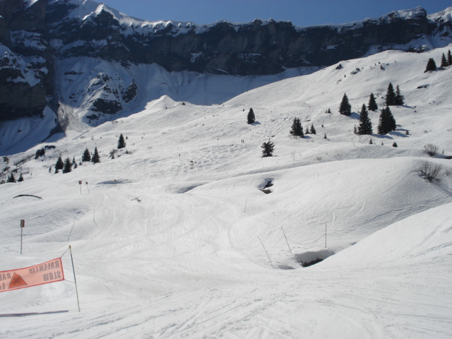 Marmotte; Megève Rochebrune Côte 2000 Dsc01418