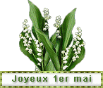 citation cadeaux fleur Muguet11
